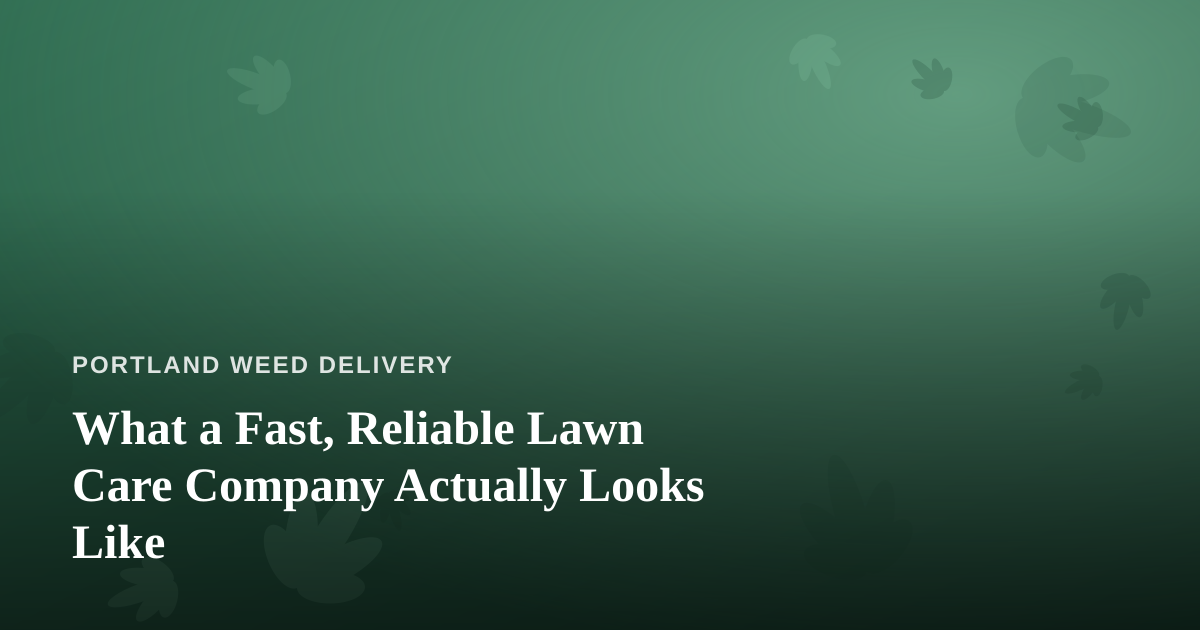 What a Fast, Reliable Lawn Care Company Actually Looks Like